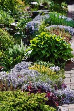 Bahçede bahar çiçekleri