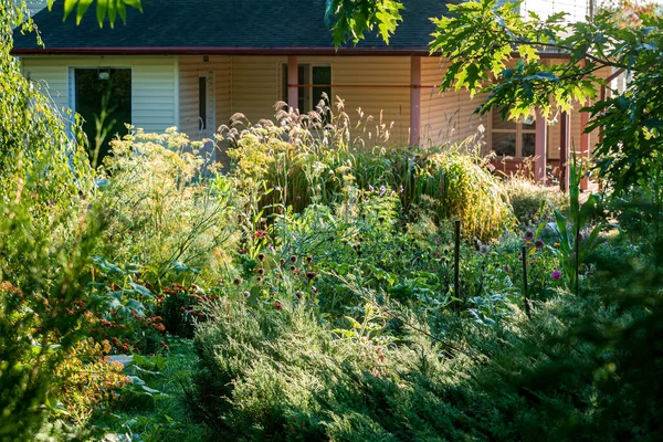 Organic Garden Fixes Flowers — Stock Photo, Image