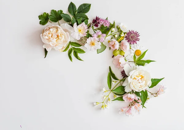 Beyaz Arka Planda Yaz Çiçekleri — Stok fotoğraf