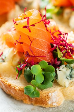 Tuzlu somon ve otlu kanepe.