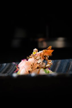 Siyah arka planda nigiri