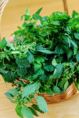 Sepette ısırgan otu var.