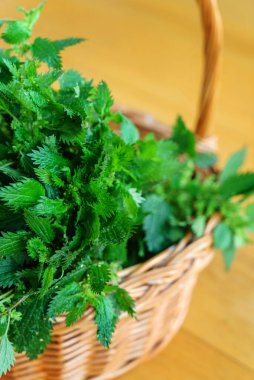 Sepette ısırgan otu var.