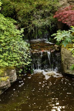 Bahar bahçesinde parlak çiçekler