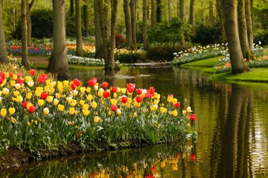 Bahar bahçesinde parlak çiçekler