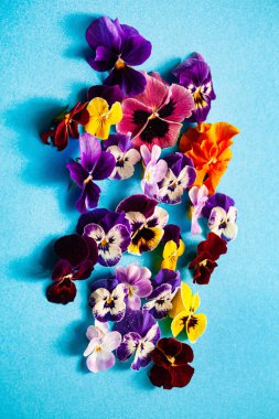 Mavi arka planda güzel çiçekler
