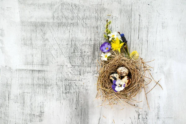 Пасхальное Гнездо Весенними Цветами — стоковое фото