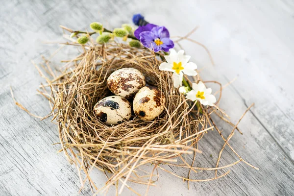 Nido Pascua Con Flores Primavera —  Fotos de Stock