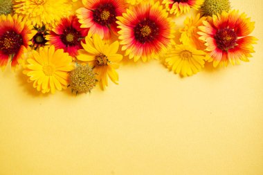 Sarı arka planda güzel çiçekler.