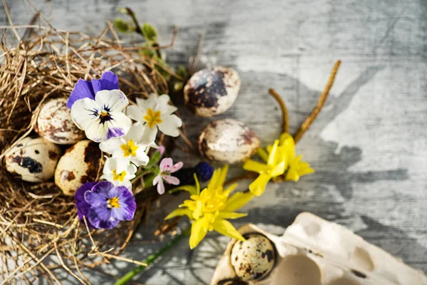 Påskbo Med Vårblommor — Stockfoto