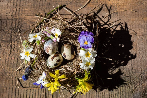 Nido Pascua Con Flores Primavera —  Fotos de Stock