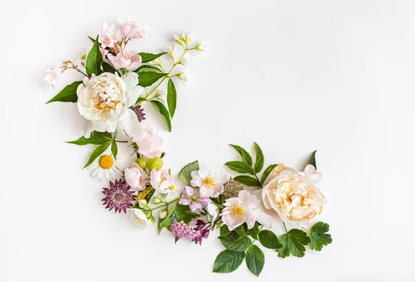 Flores Verano Sobre Fondo Blanco — Foto de Stock