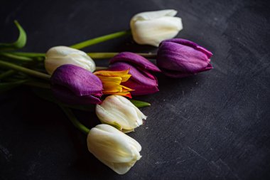 Siyah arkaplanda laleler