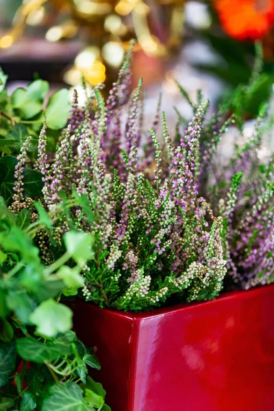 Ljung Julbordet — Stockfoto