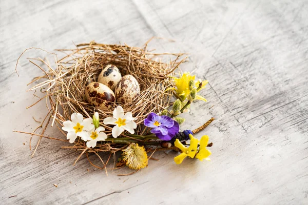 Wielkanocne Gniazdo Wiosennymi Kwiatami — Zdjęcie stockowe