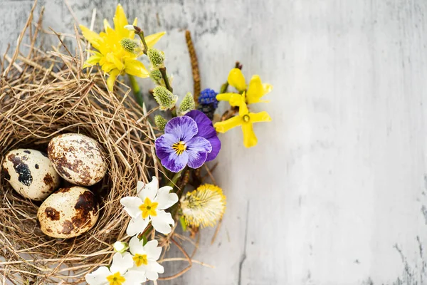 Easter nest with spring flowers