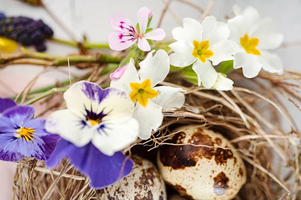 Nido Pascua Con Flores Primavera —  Fotos de Stock