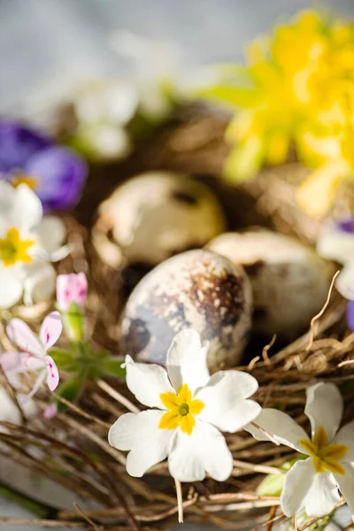 Påskbo Med Vårblommor — Stockfoto