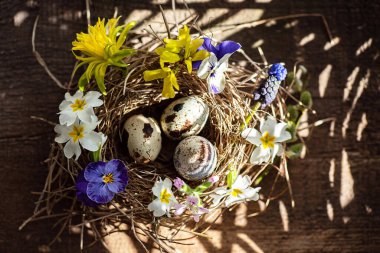 Bahar çiçekleriyle dolu Paskalya yuvası