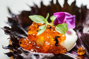 Peynirli ve otlu gurme kanepesi.