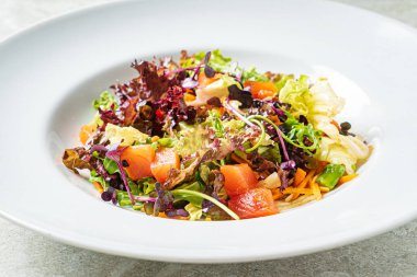 Somon ve sebzeli taze salata.