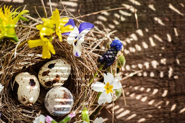 Påskbo Med Vårblommor — Stockfoto