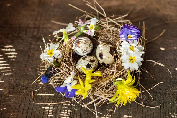 Nido Pascua Con Flores Primavera —  Fotos de Stock