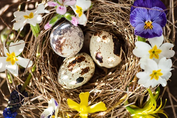 Påskbo Med Vårblommor — Stockfoto