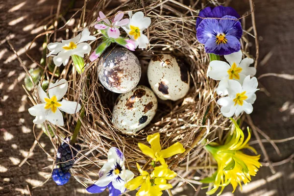 Пасхальное Гнездо Весенними Цветами — стоковое фото