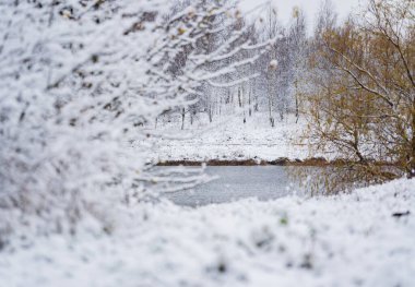 Parkta kış, kış nehri