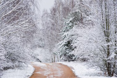 Parkta kış, kış nehri
