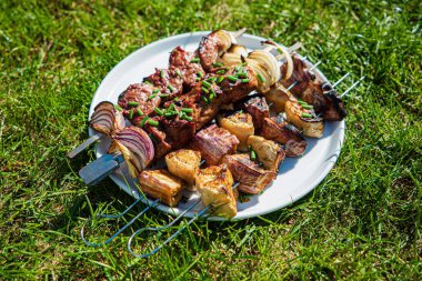 Kırmızı soğanlı ızgara kebap.