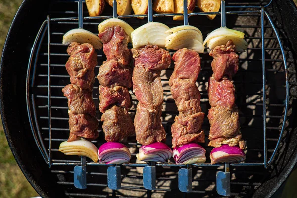 Grilovaný Kebab Červenou Cibulí — Stock fotografie