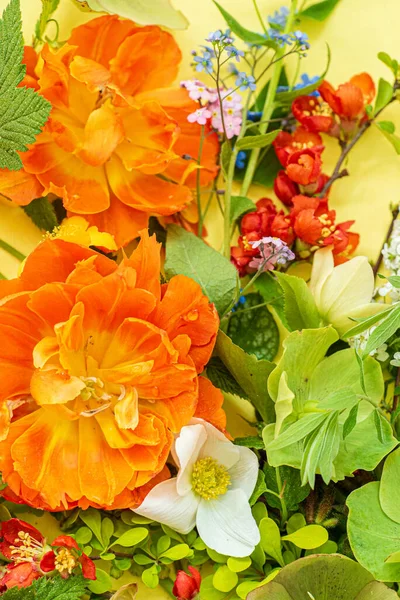 黄色の背景に春の花と葉 — ストック写真