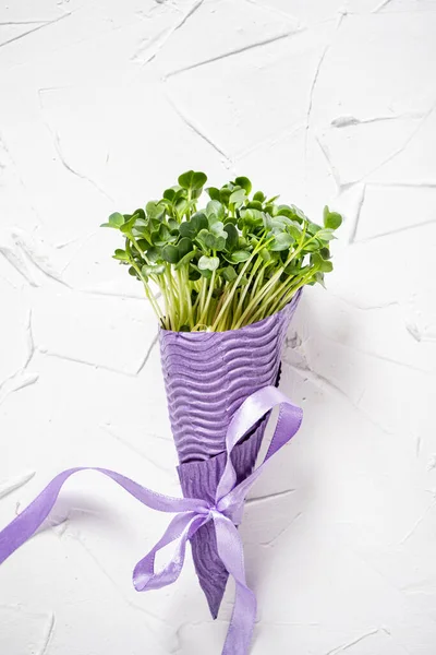 Organic Microgreens White Background — Stock Photo, Image