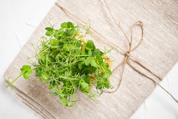 Fresh Microgreen White Background — Stock Photo, Image