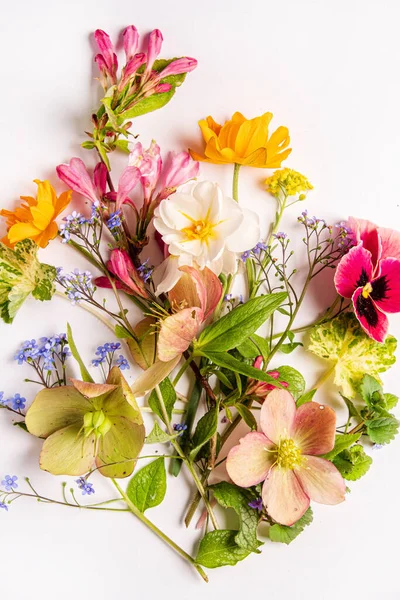 Spring Flowers White Background — Stock Photo, Image