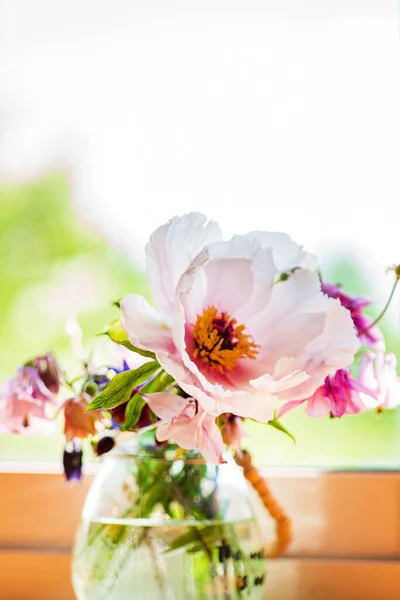 Vackra Blommor Vas Vit Bakgrund — Stockfoto