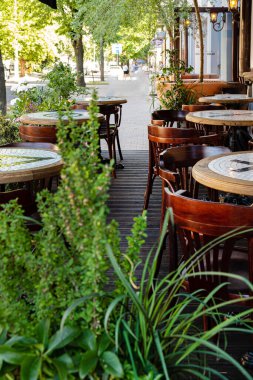 Restorandaki konteynır bitkileri.