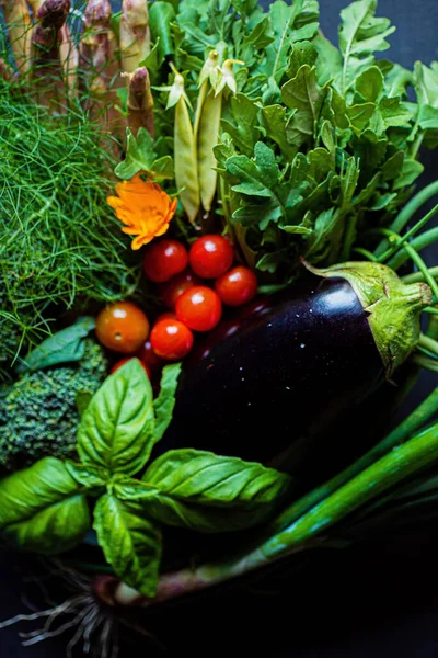 Fresh Vegetables Herbs Black Background — Stock Photo, Image