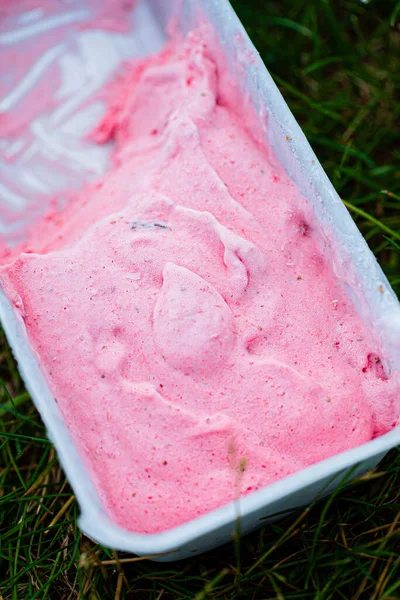 Hausgemachtes Orgnisches Eis Mit Beeren — Stockfoto