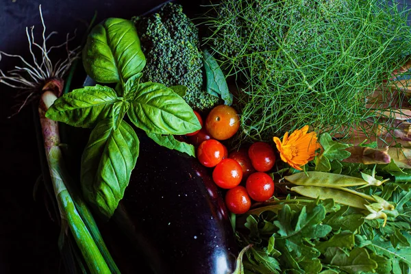 Organic Vegetables Dark Background — Stock Photo, Image