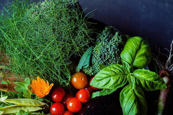 Organic Vegetables Dark Background — Stock Photo, Image