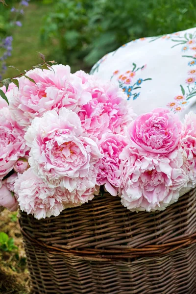 Красивый Букет Розовых Цветов Корзине Фоне Плетеного Стула — стоковое фото
