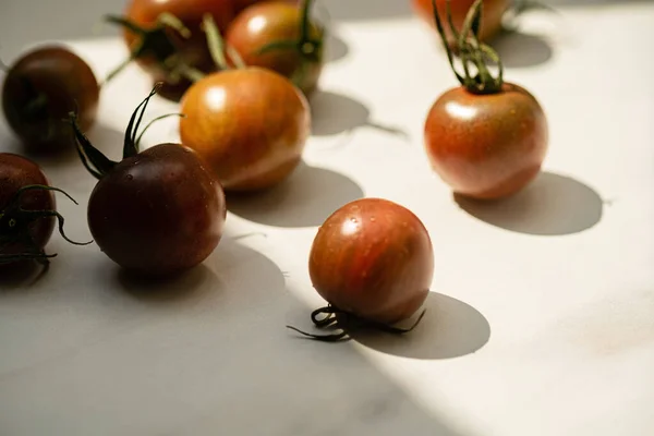 Tomates Frescos Maduros Sobre Fondo Blanco — Foto de Stock