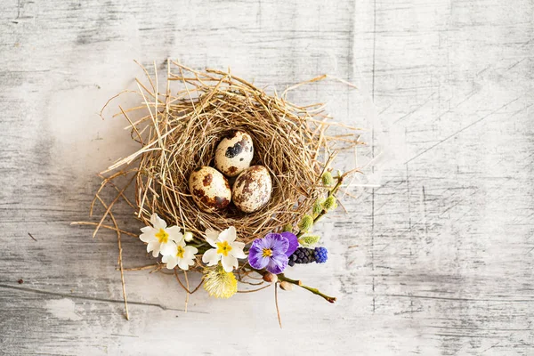 Easter nest with spring flowers