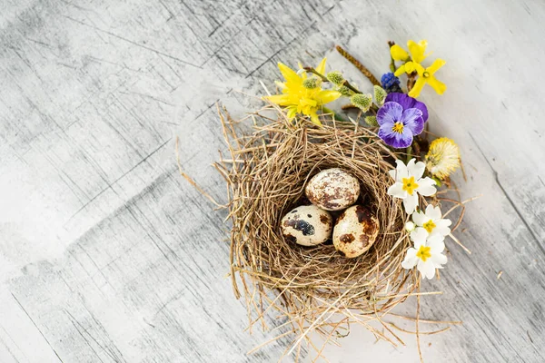 Nido Pascua Con Flores Primavera —  Fotos de Stock