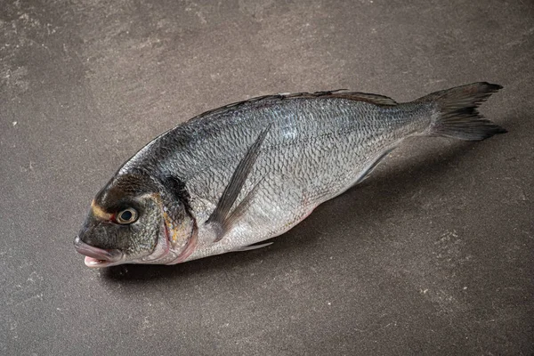 Frischer Fisch Aus Nächster Nähe — Stockfoto