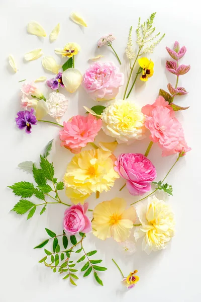 Fresh Summer Flowers Leaves — Stock Photo, Image