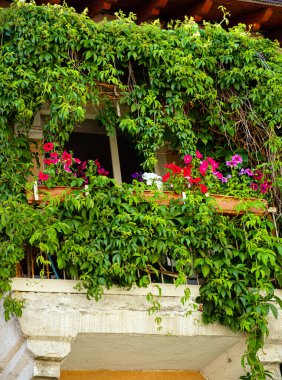 Farklı çiçeklerle dolu yaz balkonu.